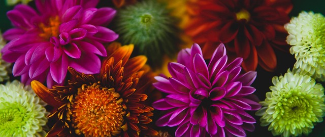 中国在筹备 中国在筹备