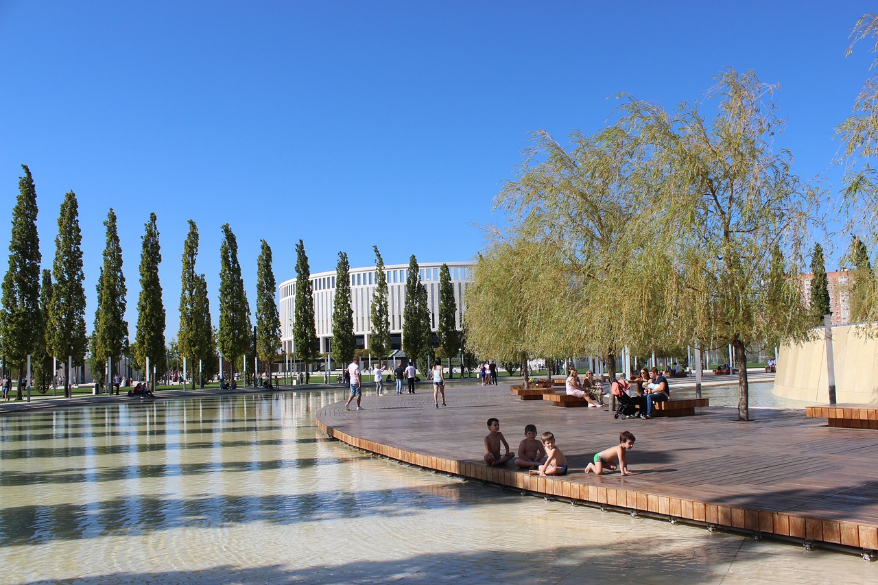 重要的砝码 重要的砝码