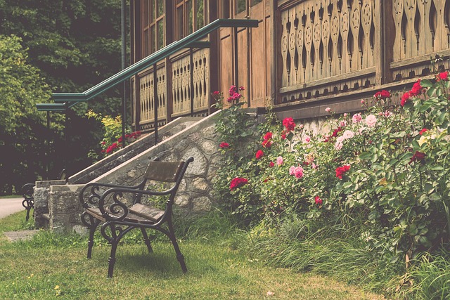 皇冠明珠 皇冠明珠