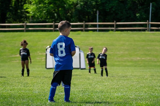 激情与创造 激情与创造