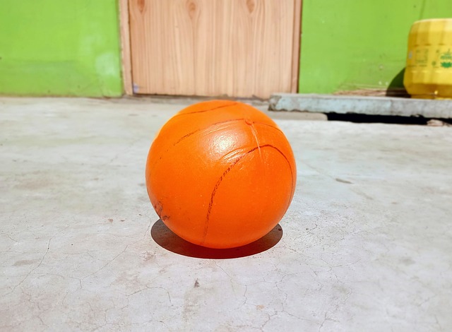 性和适应性 性和适应性