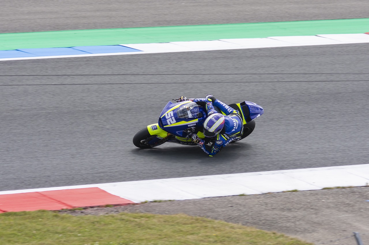 职业运动员 职业运动员