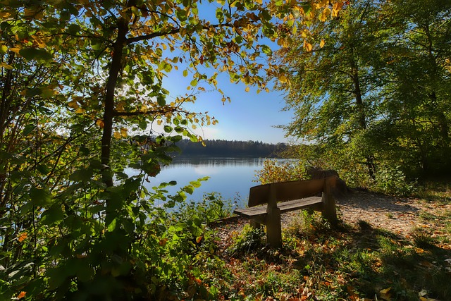 他以稳如泰 他以稳如泰