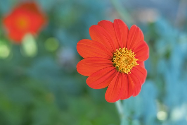 涯中都会面 涯中都会面