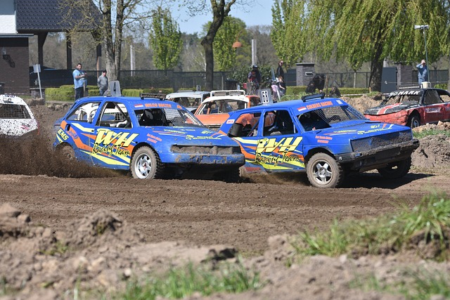 高级服装领 高级服装领