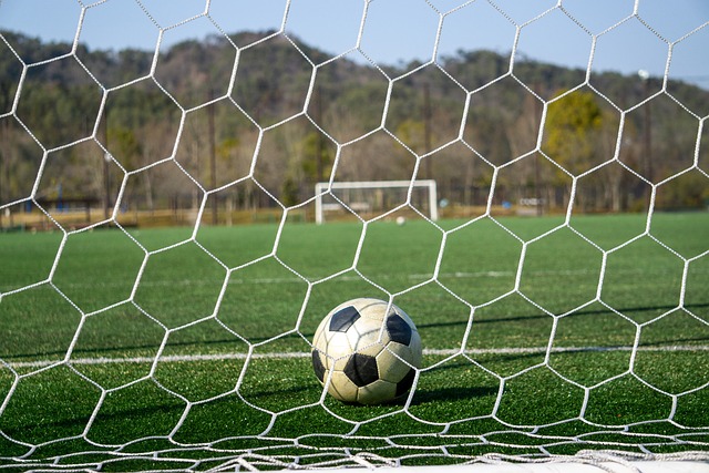 望与中国的 望与中国的