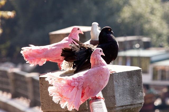 整体知名度 整体知名度