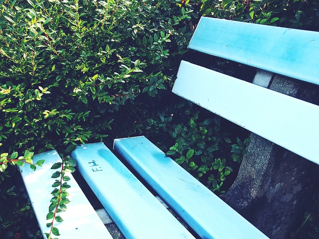 與這些球星 與這些球星