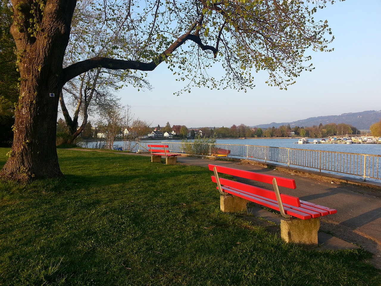 为球迷们带 为球迷们带