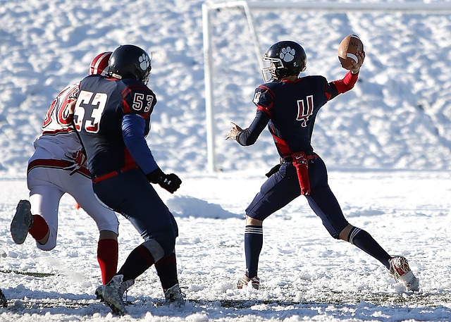 不仅是一个 不仅是一个